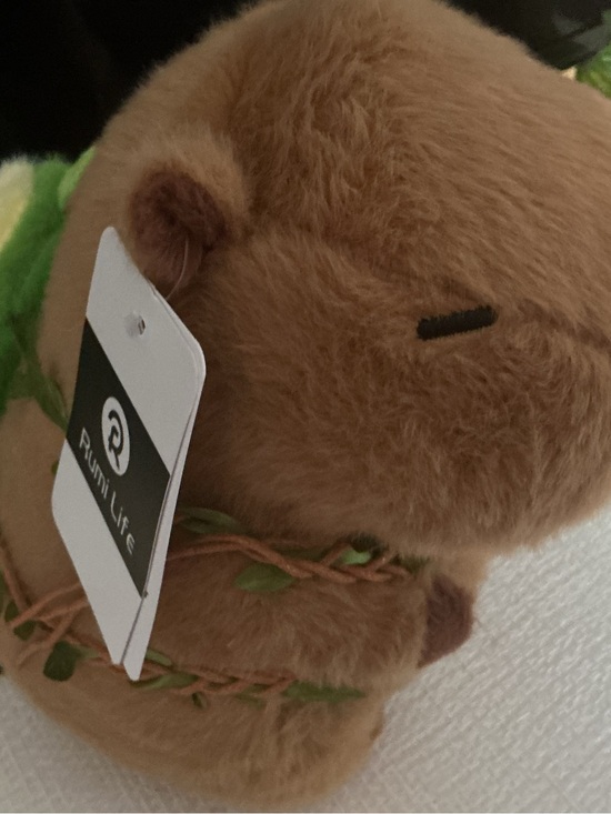 Rumi life Other - Cute capybara with avocado book bag and it’s very soft
